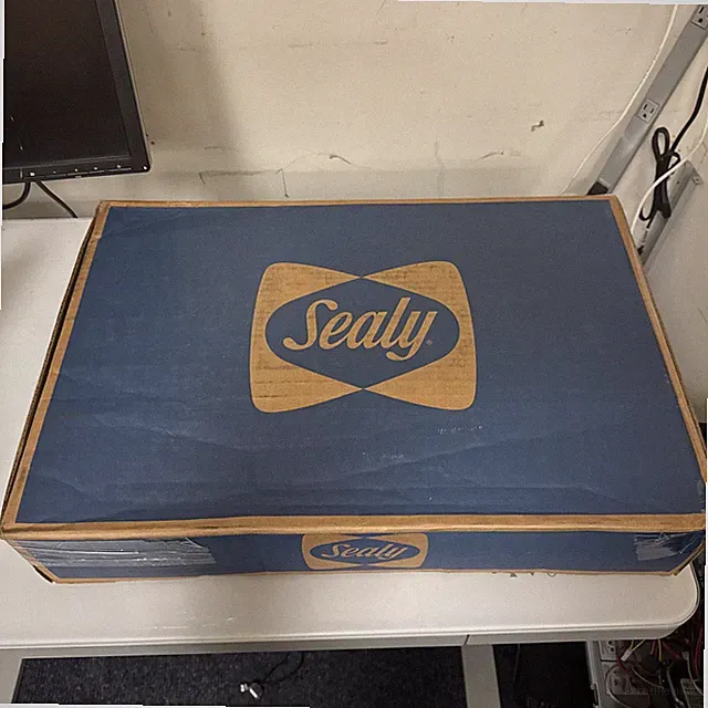 Sealy 24x16x5.75 memory foam clean pillow w/cover