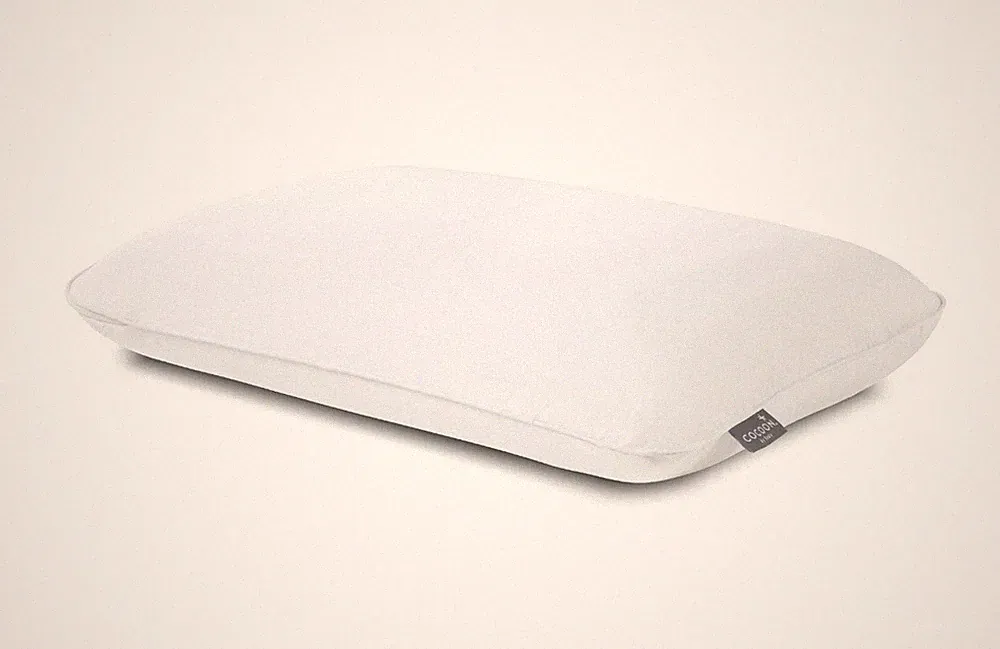 Sealy Cocoon Shredded Compressed Standard/Queen Bed Pillow - Hypoallergenic